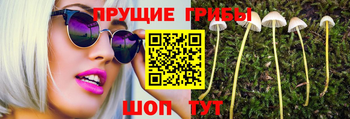 Псилоцибиновые грибы Psilocybe  Вход с VPN  купить закладку  Мелеуз  Псилоцибиновые грибы ЛСД 